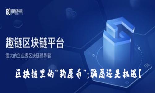 區(qū)塊鏈里的“狗屎幣”：騙局還是機遇？