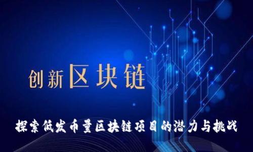探索低發(fā)幣量區(qū)塊鏈項(xiàng)目的潛力與挑戰(zhàn)
